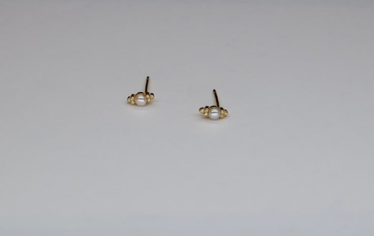 Tara studs