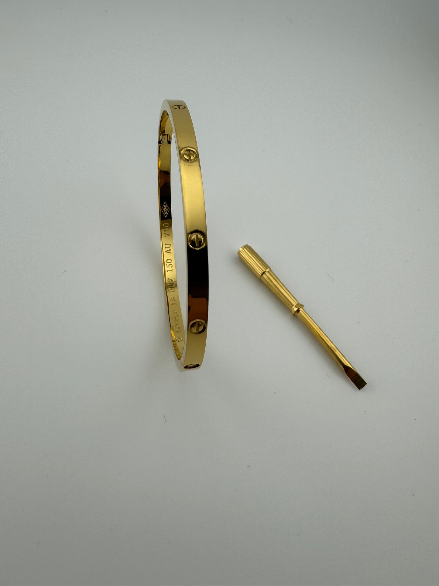 SINGLE SIDE WCREW BANGLE