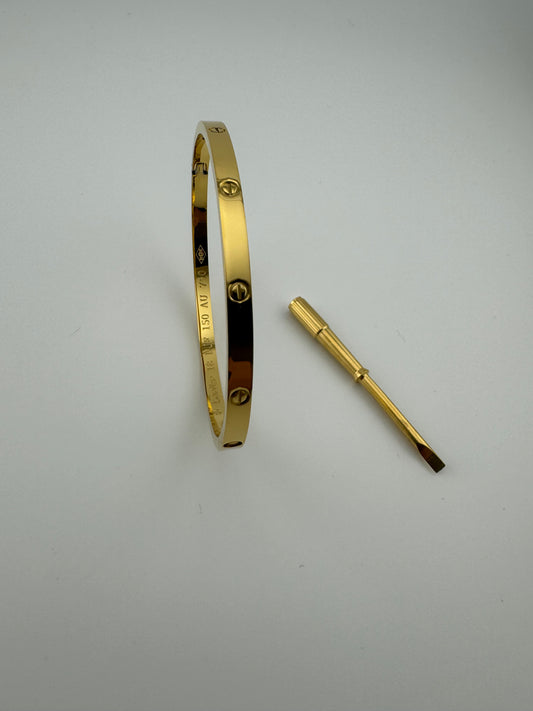 SINGLE SIDE WCREW BANGLE